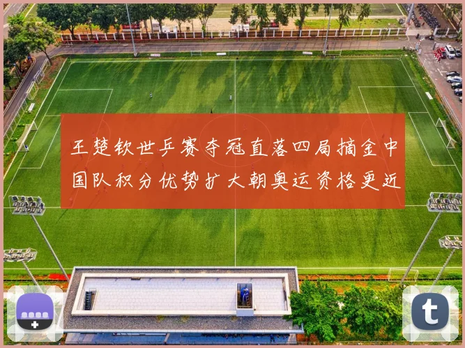 王楚钦世乒赛夺冠直落四局摘金中国队积分优势扩大朝奥运资格更近