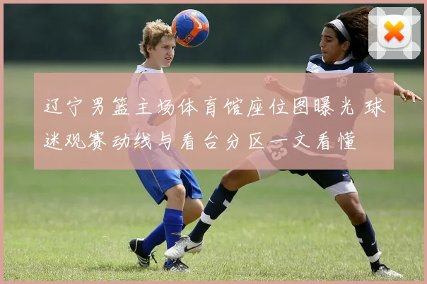 辽宁男篮主场体育馆座位图曝光 球迷观赛动线与看台分区一文看懂