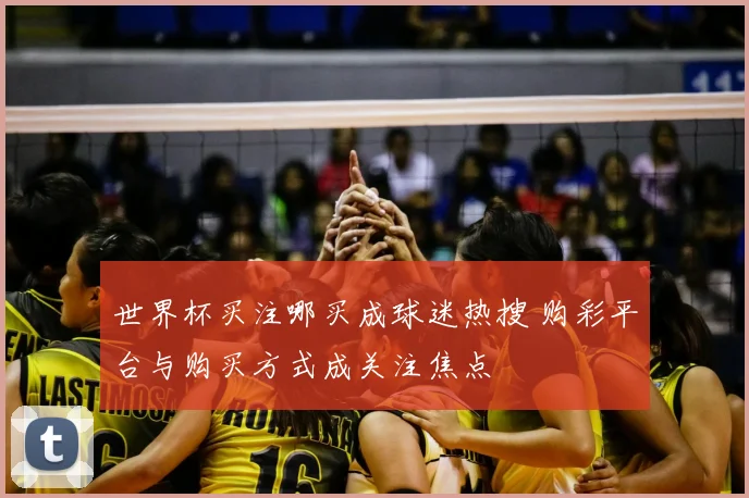 世界杯买注哪买成球迷热搜 购彩平台与购买方式成关注焦点