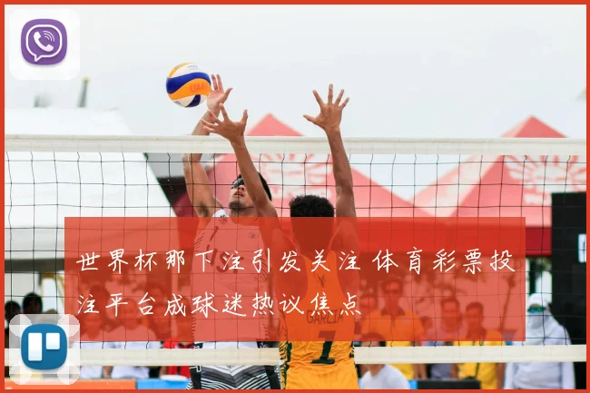 世界杯那下注引发关注 体育彩票投注平台成球迷热议焦点
