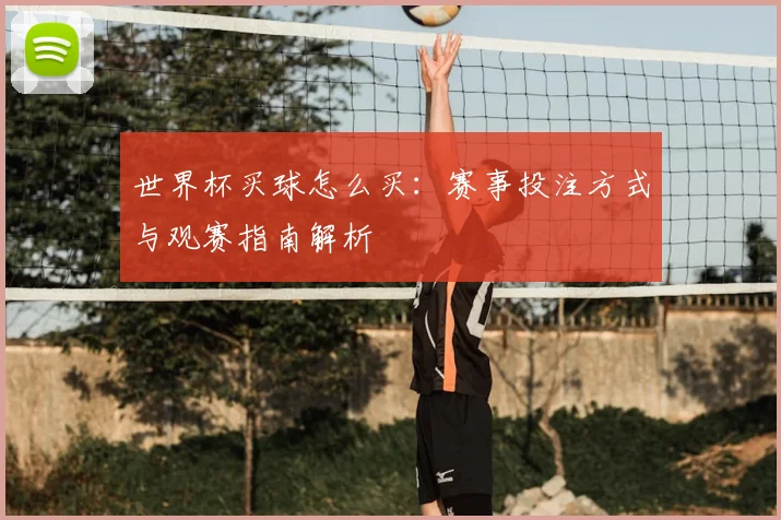 世界杯买球怎么买：赛事投注方式与观赛指南解析