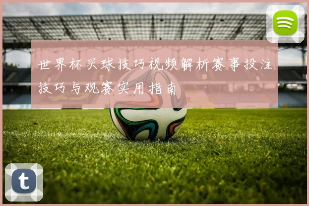 世界杯买球技巧视频解析赛事投注技巧与观赛实用指南