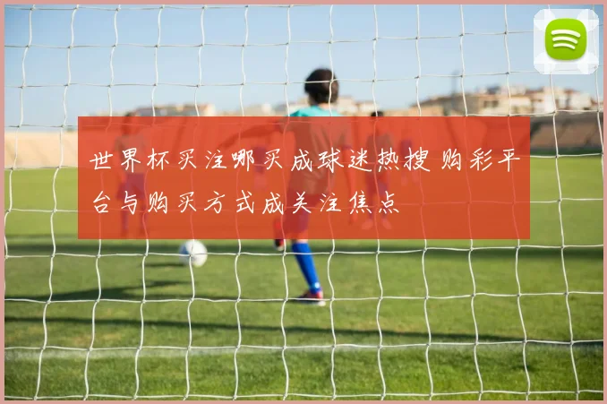 世界杯买注哪买成球迷热搜 购彩平台与购买方式成关注焦点